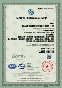 Сертификат (4)