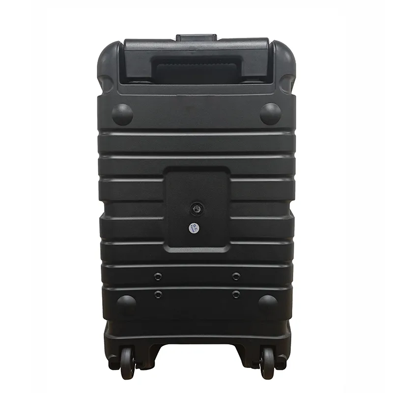 Акустическая система с выдвижной ручкой  серии YY-PD108LOKR