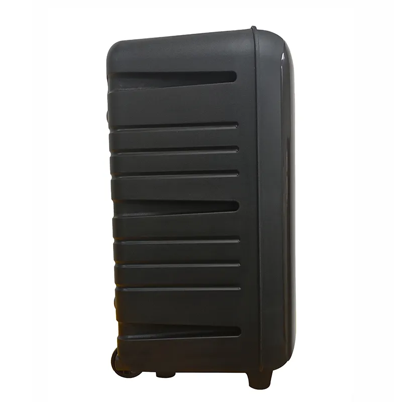 Акустическая система с выдвижной ручкой  серии YY-PD108LOKR