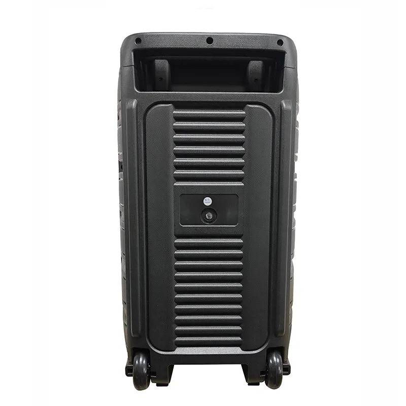 Акустическая система с выдвижной ручкой серии YY-PD112LOKR