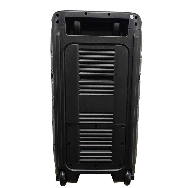 Акустическая система с выдвижной ручкой  серии YY-PD115LOKR