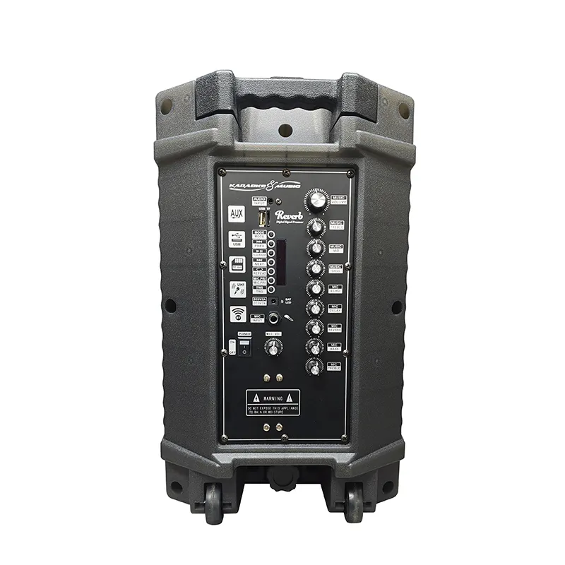 Акустическая система с выдвижной ручкой серии YY-PD210