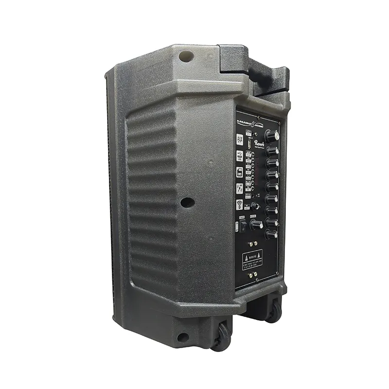 Акустическая система с выдвижной ручкой серии YY-PD210