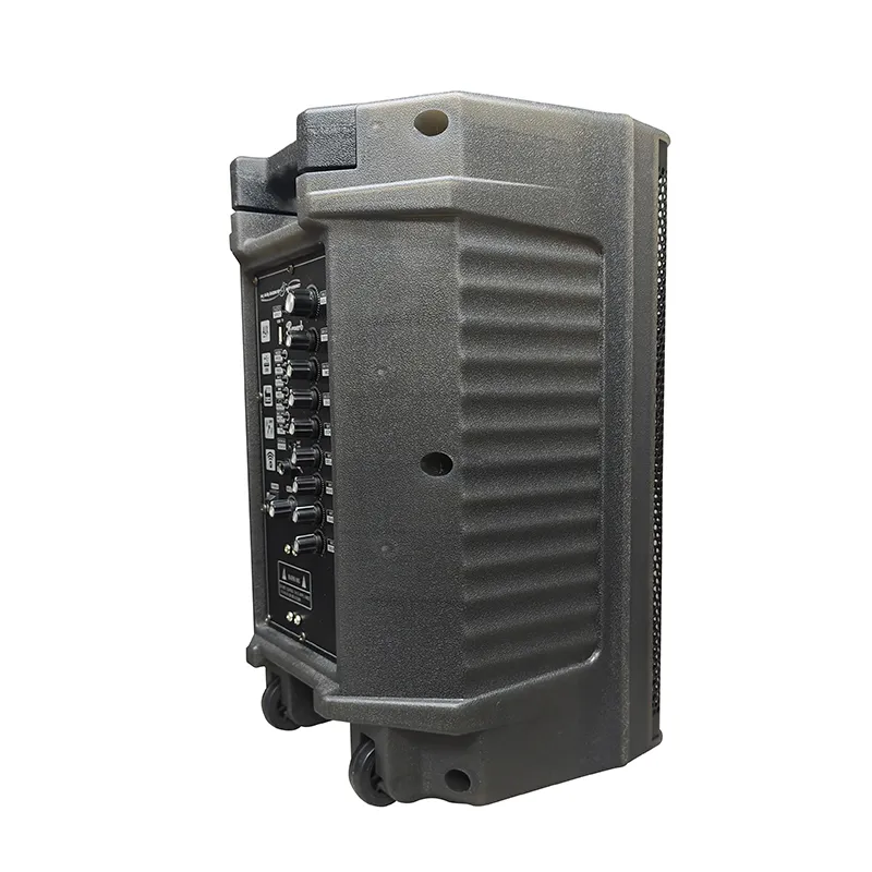 Акустическая система с выдвижной ручкой серии YY-PD210