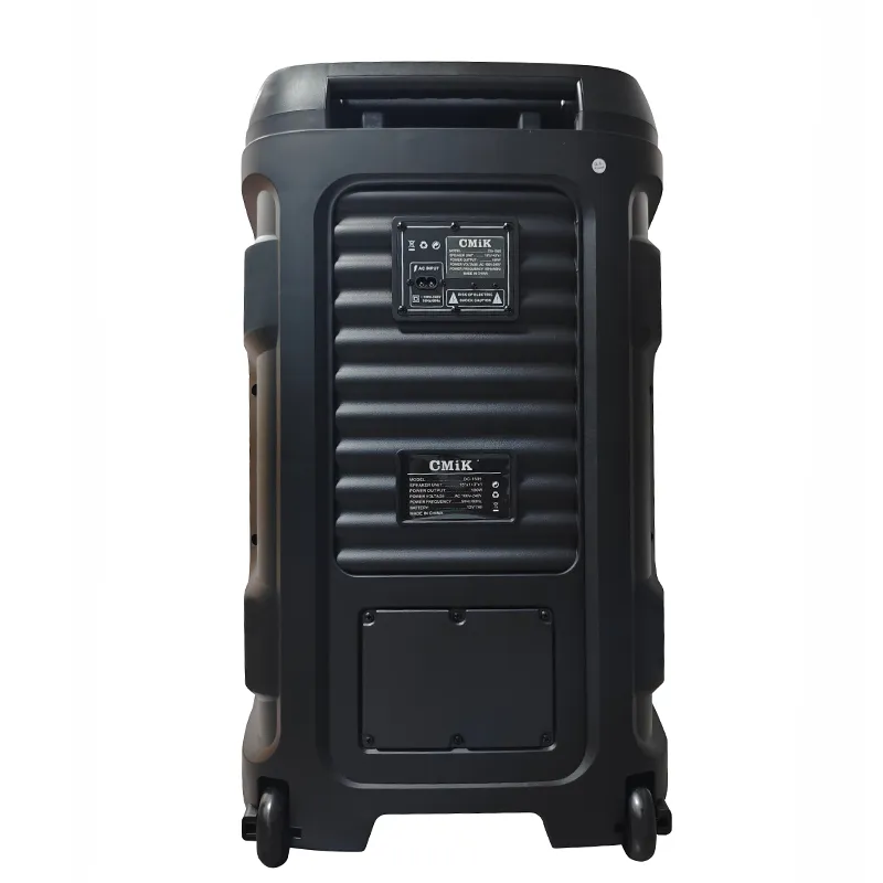 Акустическая система с выдвижной ручкой серии YY-PD215LOKR