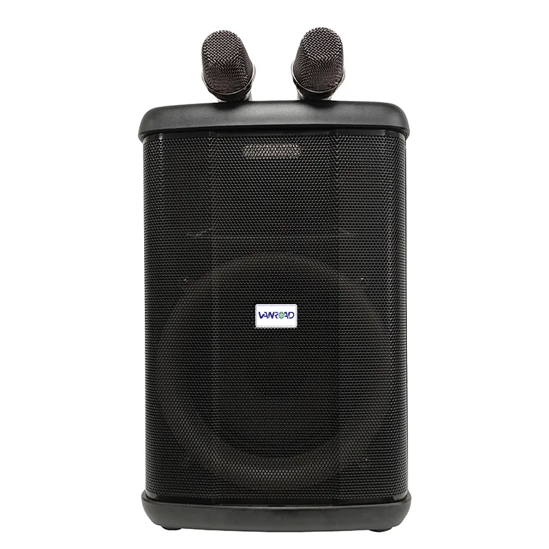 Портативная акустическая система  YY-PE008 L