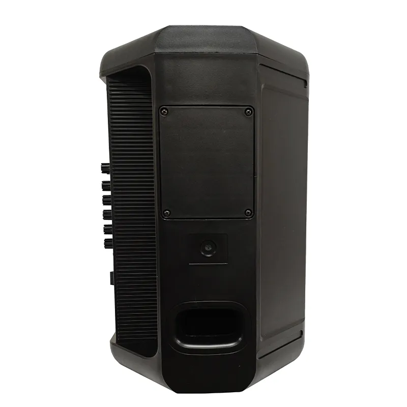 Портативная акустическая система  YY-PE008 L