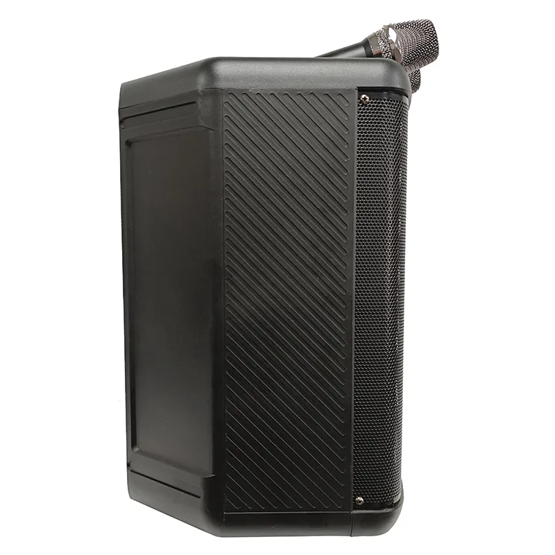 Портативная акустическая система  YY-PE008 L