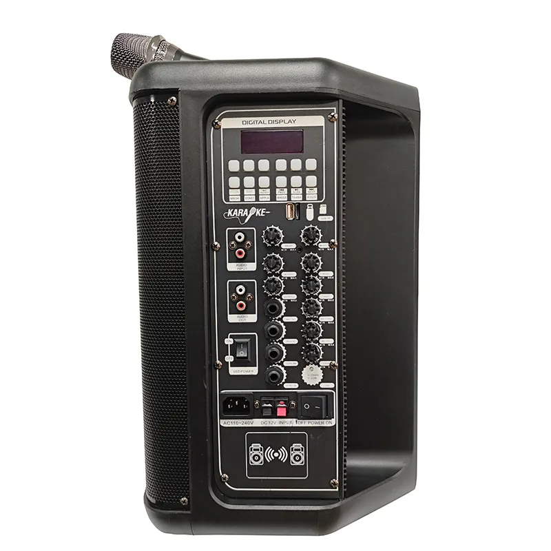 Портативная акустическая система  YY-PE008 L