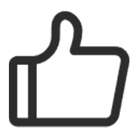 Выручка за 2024 год