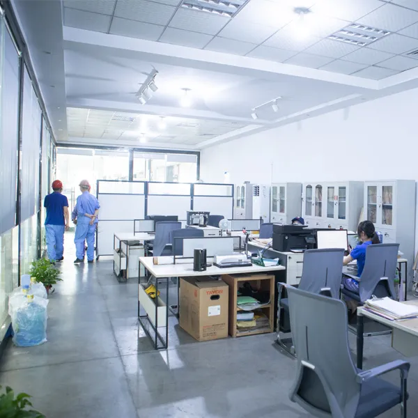 Визит Генерального директора Ли с рабочим визитом для ознакомления и консультаций