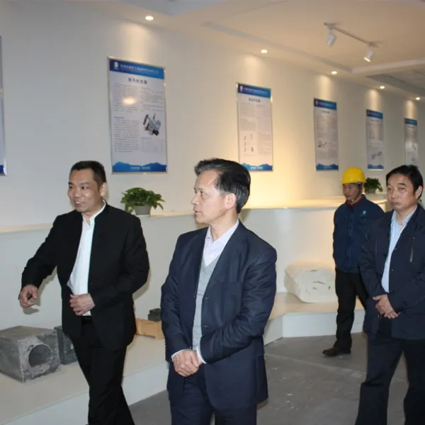 Поддерживая инновационное развитие, академик Чжун Чжихуа и его команда экспертов посетили компанию Zhongding Thermal Engineering