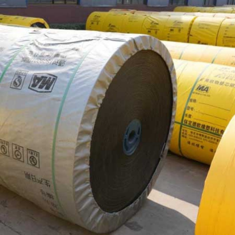 Компания Baoding Deou Rubber & Plastic Technology возглавила рейтинг рынка огнестойких конвейерных лент типа PVG в провинции Шэньси, набрав 9,8 балла.