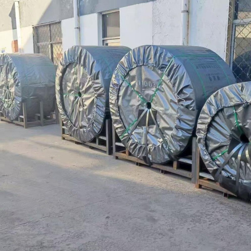 (Нейлоновая, полиэфирная, обычная и узорчатая) конвейерная лента