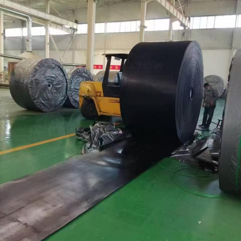 (Нейлоновая, полиэфирная, обычная и узорчатая) конвейерная лента