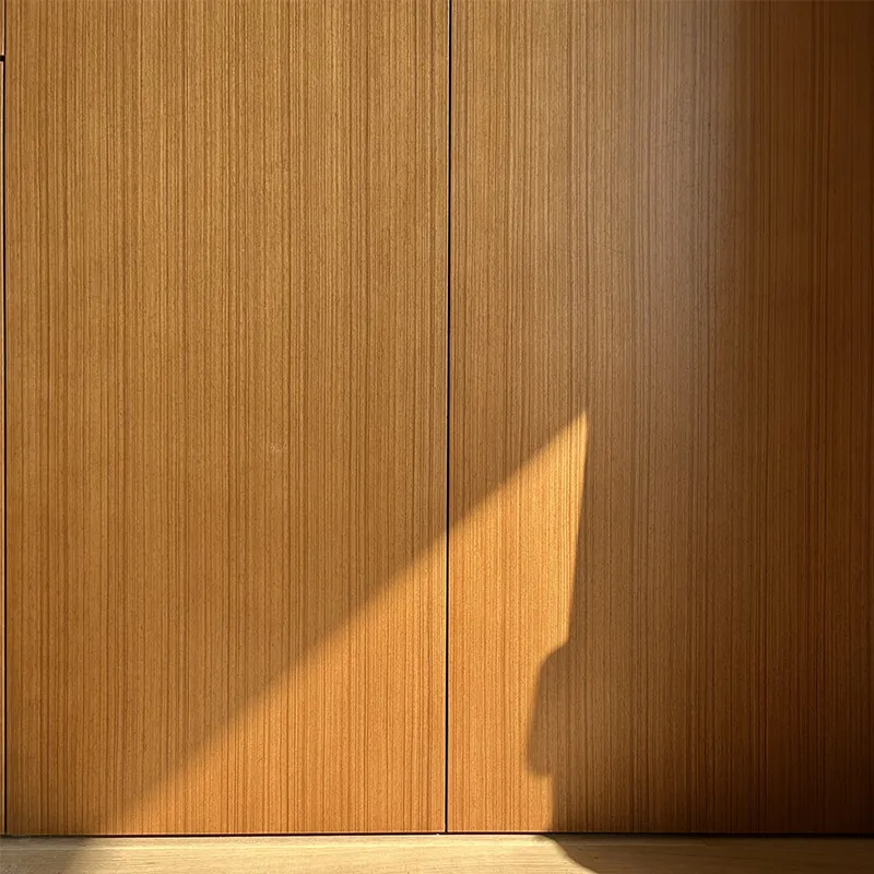 Пропитанная бумага из куннингамии ланцетовидной 266