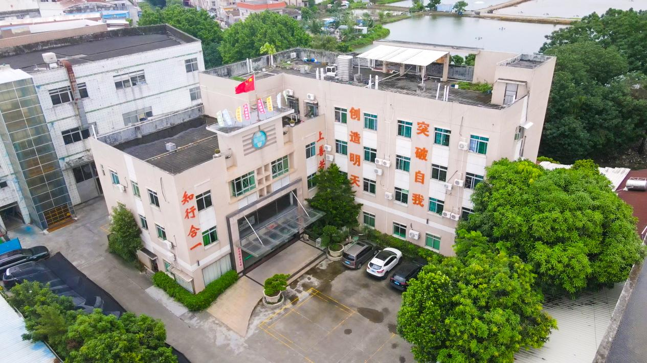 new444 (5)