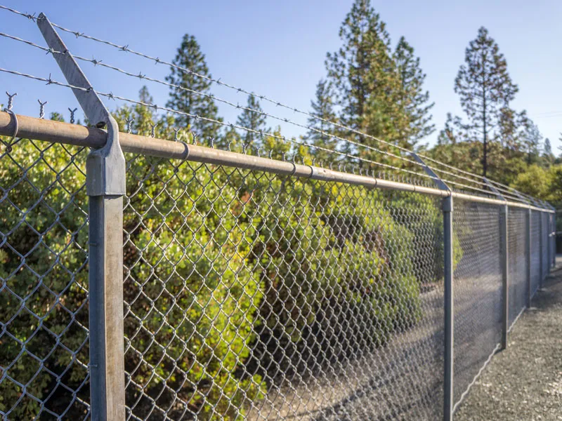 Главная 4 (2)