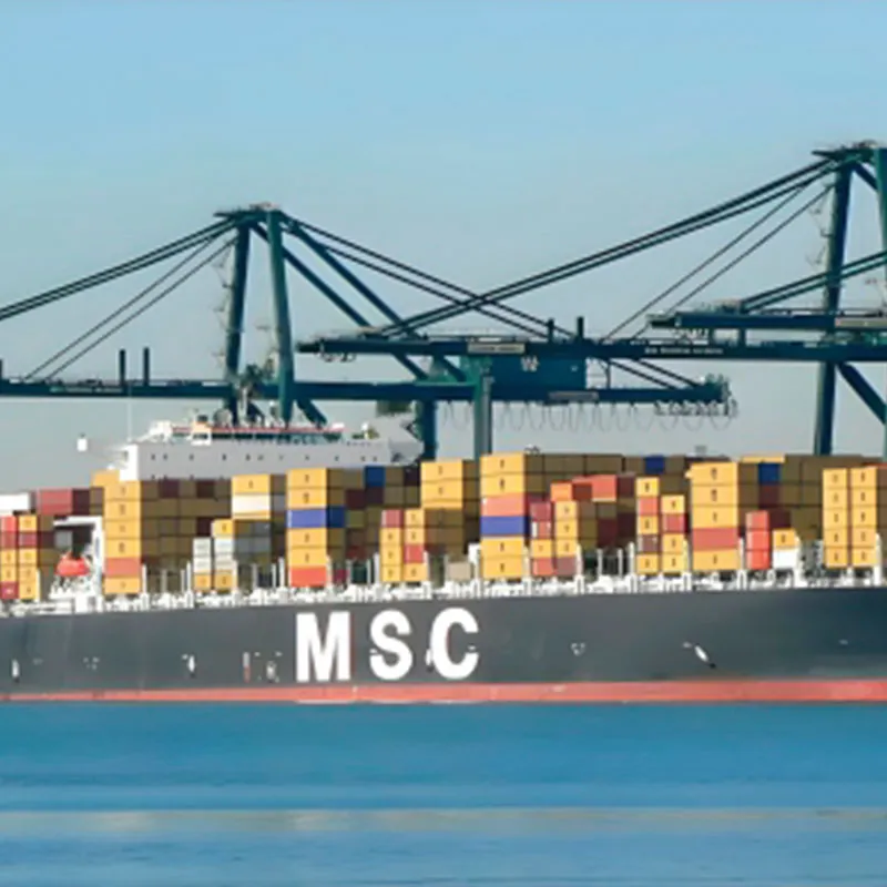 Компания OOO Чэньсин (Гонконг) по управлению цепочками поставок приняла участие в Форуме о новых производительных силах и достигла ряда соглашений о сотрудничестве в области создания экологичных цепочек поставок