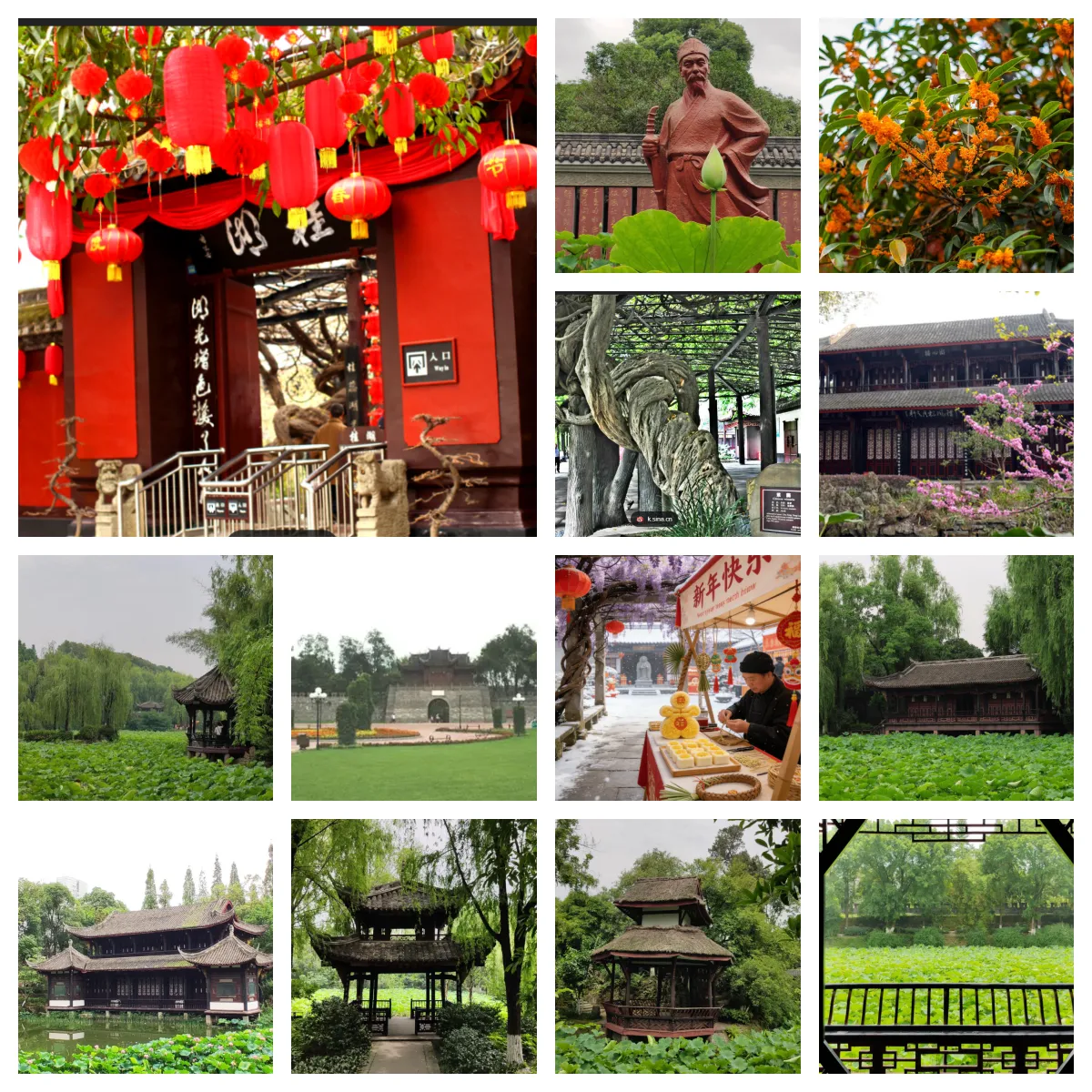 Синду Лаогуйху: тысячелетний древний аромат встречает Новый год, вековые тени лиан ждут гостей