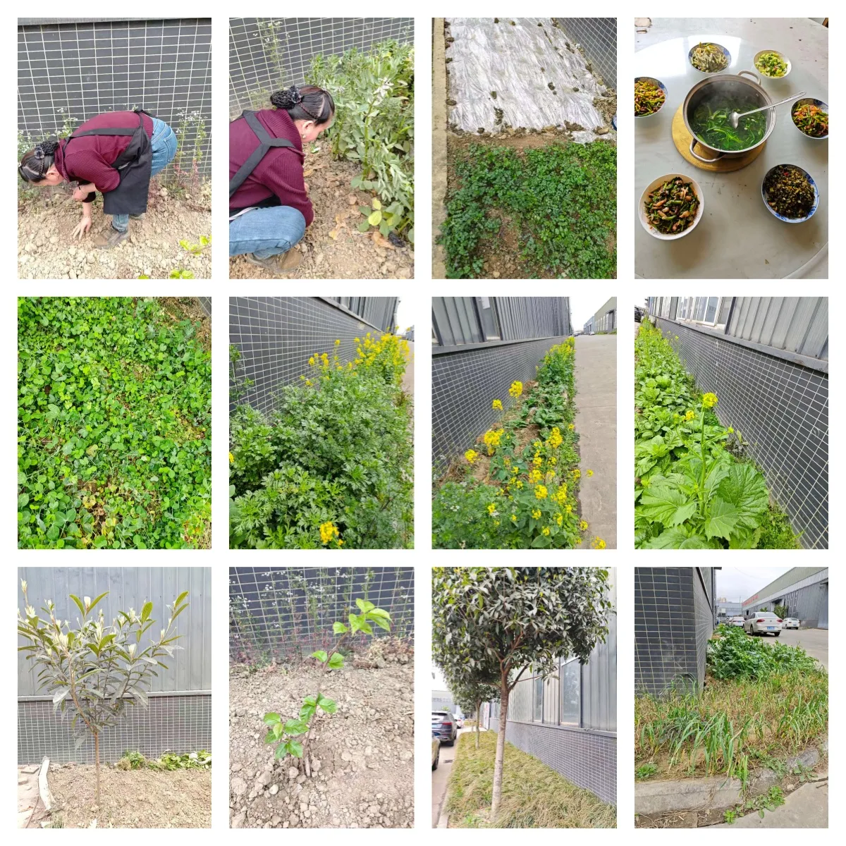 Завод ООО Сычуань Вокан Энергетические И Силовые Технологии начинает работу в новом направлении Теплое отношение к логистической поддержке укрепляет сплоченность команды