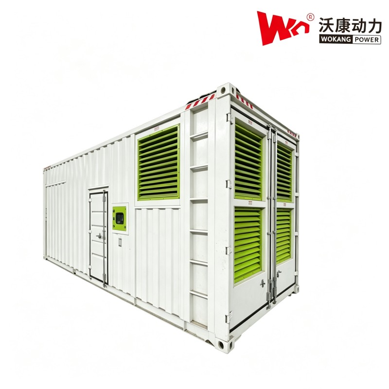Дизель-генераторные установки Wokang Power в шумозащитных кожухах: решение для энергоснабжения с низким уровнем шума, адаптированное для российского рынка.