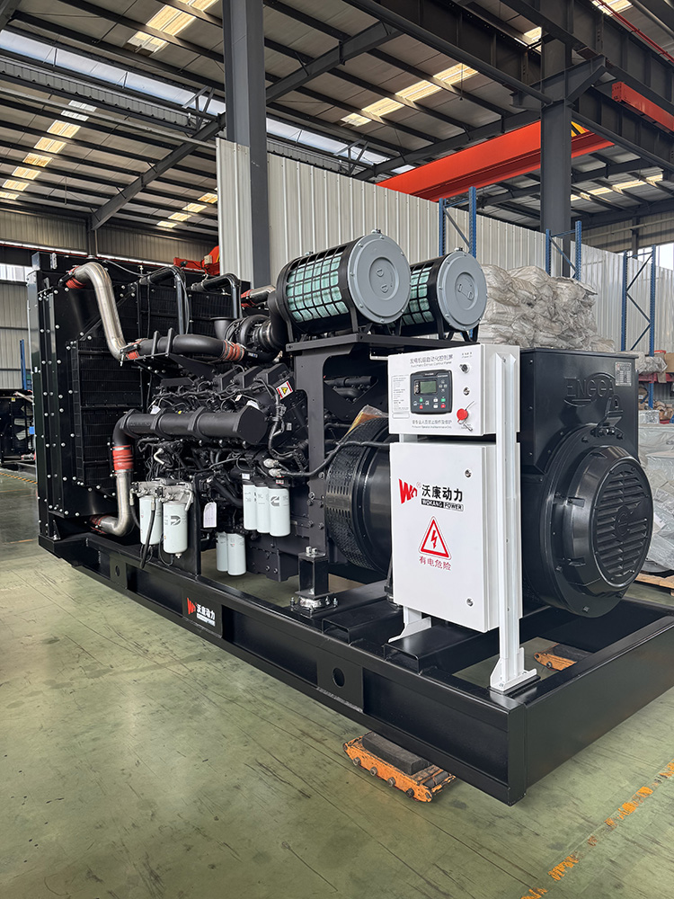 Компания Sichuan Wokang Energy Co., Ltd. поставляет (1)