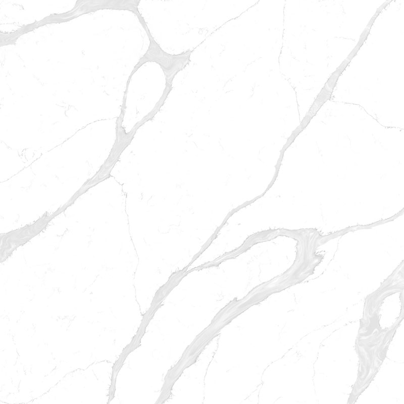 Y11