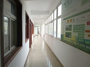 about-1 (3)