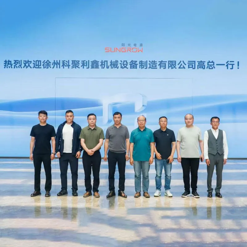 Визит в компанию «Янгуан Дяньюань»