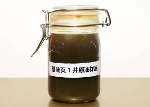 23 октября от пресс-службы китайской нефтехимической корпорации «Синопек» поступила информация, что разведочная скважина Цилуе-1, пробуренная разведочным подразделением компании в районе Цицзян города Чунцин, показала суточный дебит нефти в 38,64 кубических метров и высокий дебит сланцевого газа в 10 тысяч кубических метров. Комплексная региональная оценка на основе данных этой скважины свидетельствует о том, что «Синопек» открыл в Сычуаньском бассейне новую зону сланцевой нефти с ресурсами объёмом в сотни миллионов тонн, что имеет стратегическое значение для разведки и разработки сланцевой нефти в юго-западном регионе Китая. 作为非常规油气资源，页岩油具有广阔的开发前景，是我国原油长期稳产的重要接替力量。中国石化于2022年发现了中深层—深层千亿立方米大型整装页岩气田——綦江页岩气田，同年开展新一轮页岩油基础研究，在綦江新区成功发现新的页岩油中浅层大型整装目标，并部署实施风险探井——綦陆页1井。此次该井试获高产页岩油气流，拓展了綦江地区非常规资源类型，与2022年发现的綦江页岩气田形成“下气上油”立体成藏，进一步开拓了四川盆地“油气并进”战略资源新格局。 Как нетрадиционный ресурс нефти и газа, сланцевая нефть обладает широкими перспективами разработки и является важной заменой для долгосрочной стабилизации добычи нефти в нашей стране. В 2022 году «Синопек» открыл крупное целостное месторождение сланцевого газа в средне-глубоких и глубоких пластах с запасами в сотни миллиардов кубометров – Цицзянское месторождение сланцевого газа. В том же году была начата новая программа фундаментальных исследований сланцевой нефти, в ходе которой в новом районе Цицзян был успешно выявлен крупный целостный объект в средне-неглубоких пластах сланцевой нефти, после чего была пробурена разведочная скважина Цилуе-1. Полученный из этой скважины высокодебитный поток сланцевой нефти и газа расширил спектр нетрадиционных ресурсов в районе Цицзян и, вместе с открытым в 2022 году Цицзянским месторождением сланцевого газа, сформировал трёхмерную залежь по принципу «газ в нижних слоях и нефть в верхних», что способствовало формированию новой стратегической ресурсной структуры «параллельное развитие нефти и газа» в Сычуаньском бассейне.