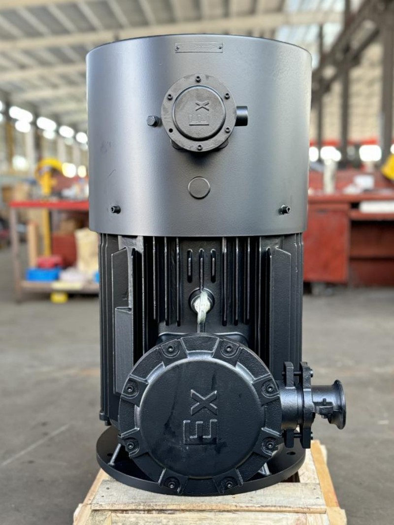 Рисунок 1: Взрывозащищенный электродвигатель производства компании Xiangtan Hualian Electric Motor