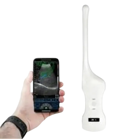 Двухголовочный конвексный + трансвагинальный беспроводной цветной допплеровский ультразвуковой сканер AKCSB-C10QT