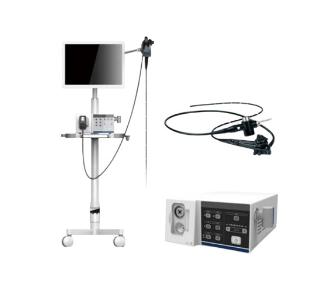 эндоскоп ветеринарная клиника