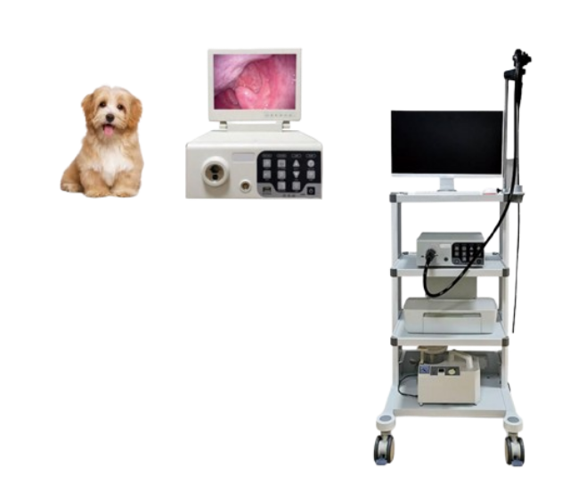 Ветеринарный видеоэндоскоп AKNJ — 100VET