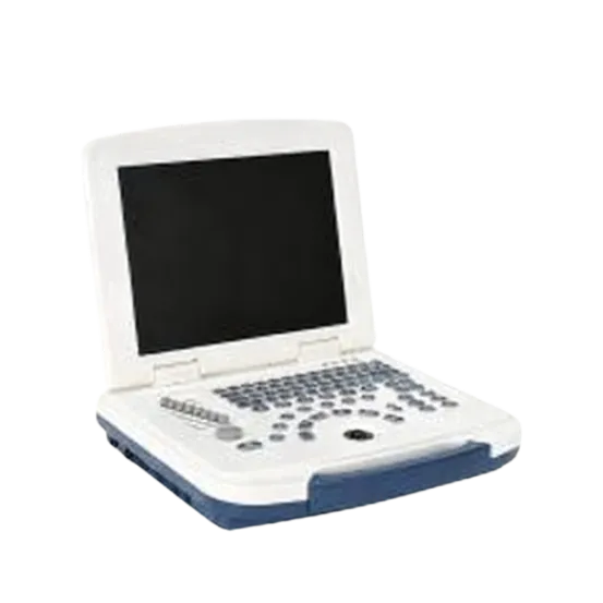 Портативный черно-белый ультразвуковой аппарат AKCSB580