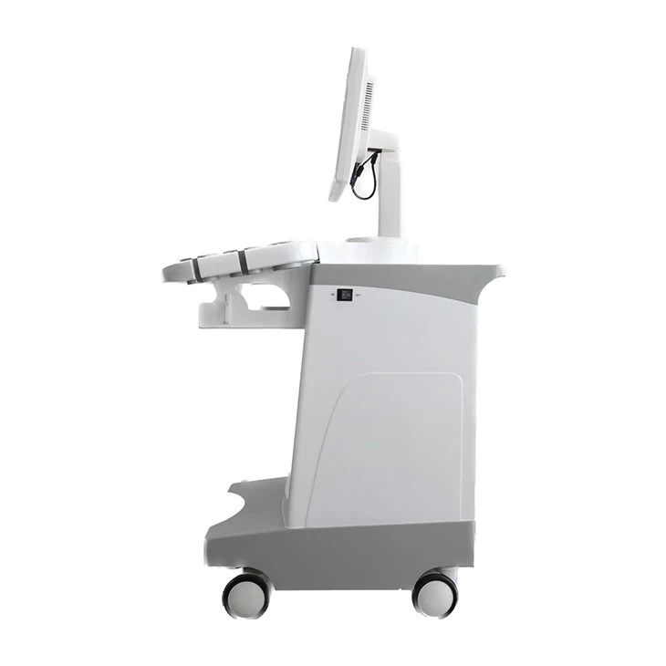 Черно-белый ультразвуковой аппарат на тележке AKCSB-UTS80