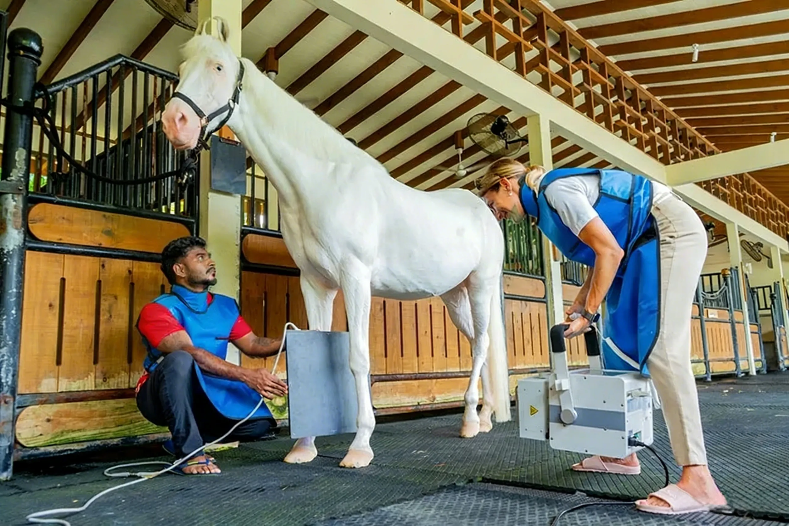 Проект внедрения портативного ветеринарного рентгеновского аппарата в конноспортивном центре Мальдив
