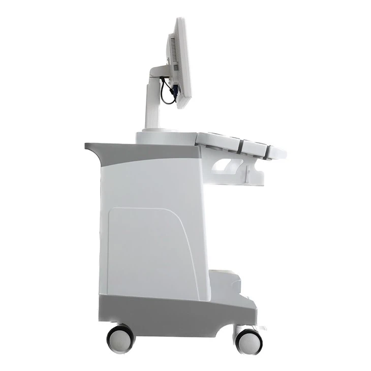 Черно-белый ультразвуковой аппарат на тележке AKCSB-UTS80