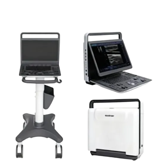 Портативная черно-белая ультразвуковая система Sonoscape E1