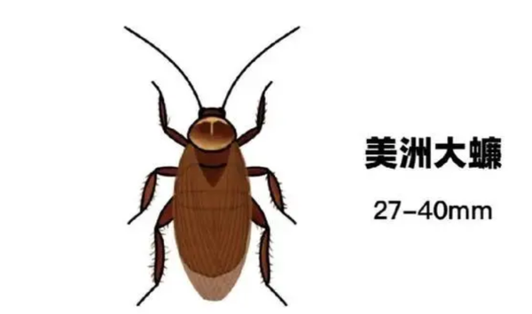 文档图片 2