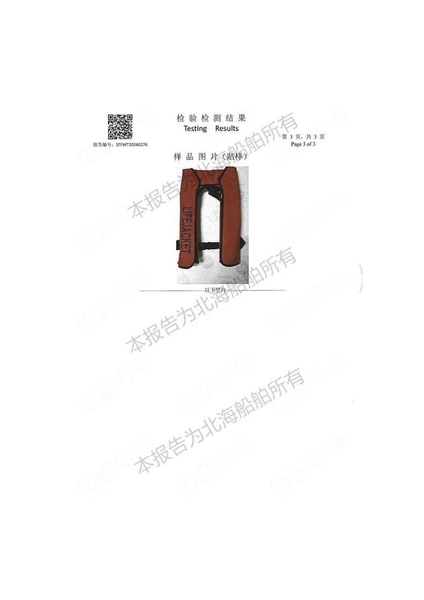 文档图片 4