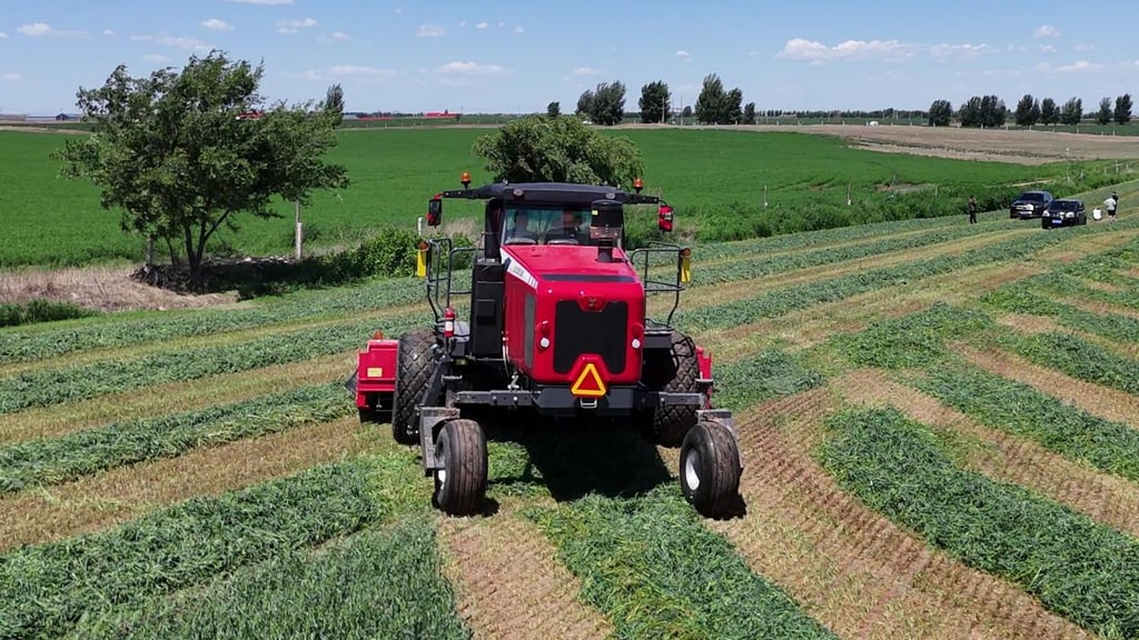 文档图片 3