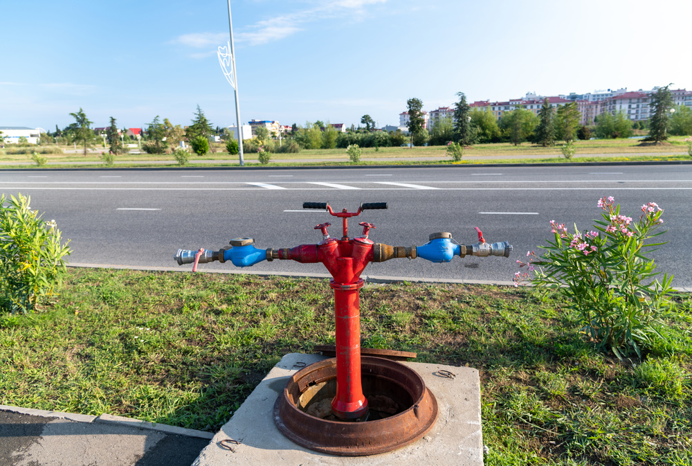 8a627306-27bc-4dfa-98d9-501ee679fce4.jpg