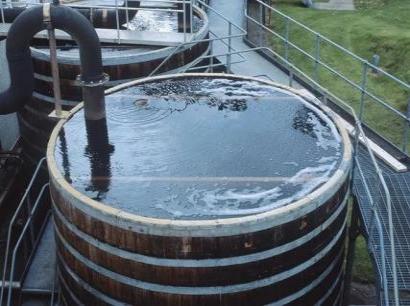 文档图片 2