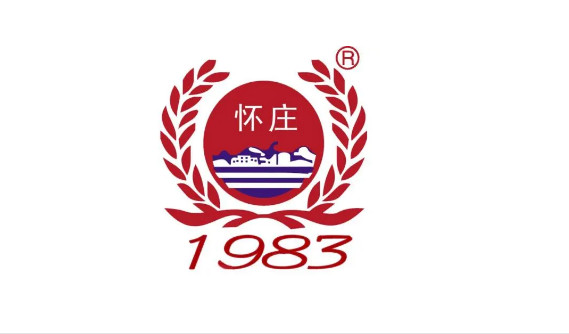 文档图片 1