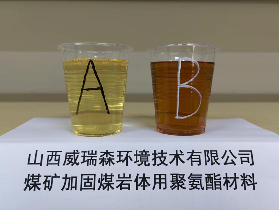 文档图片 3