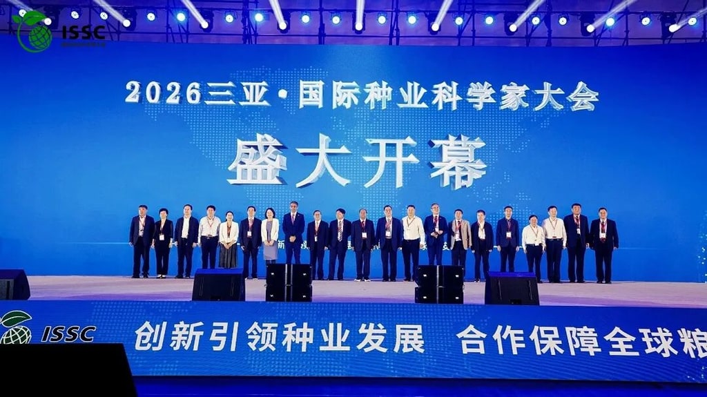 文档图片 6