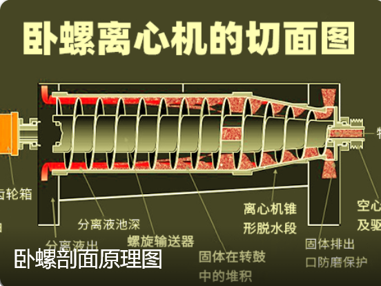文档图片 4
