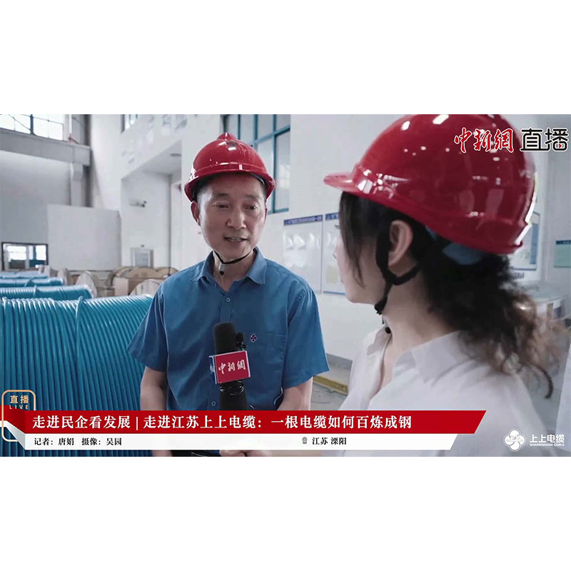 China News Network | «Изучение развития частных предприятий» посещает Shangshang, чтобы узнать, как кабели превращаются в сталь